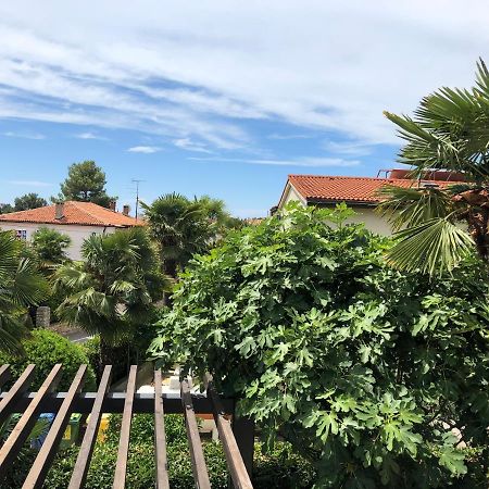 Studio Lycia Top 2020 Rovinj Exterior foto